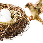 carte de voeux pour un promoteur immobilier